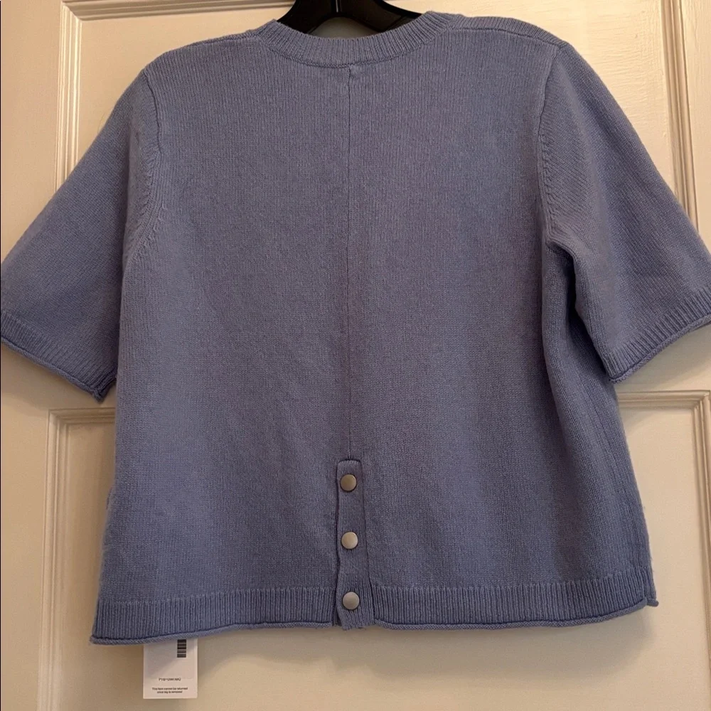 JOIE Short Sleeve Wool and Cashmere Blend Sweater In Light Blue‎